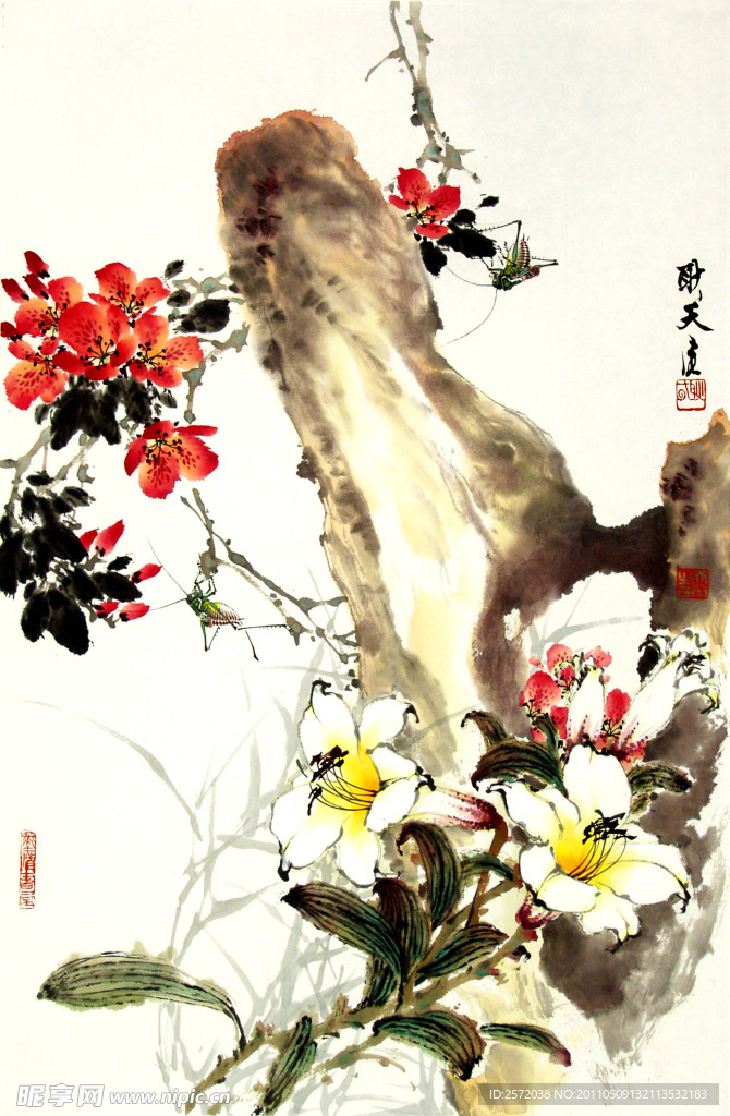 百合杜鹃