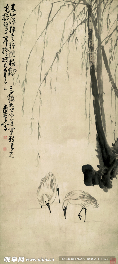 柳塘双鹭图