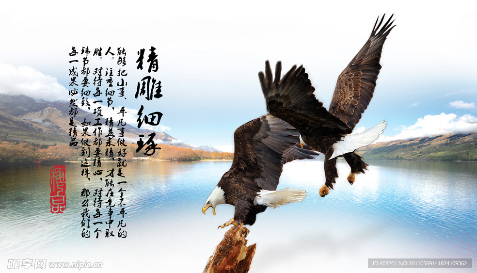 老鹰