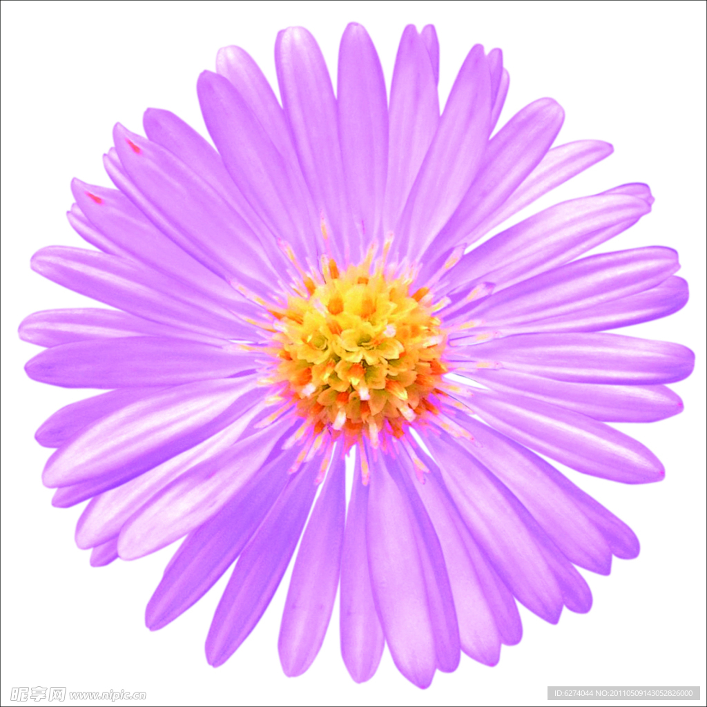 花卉