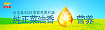 金龙鱼AE菜籽油
