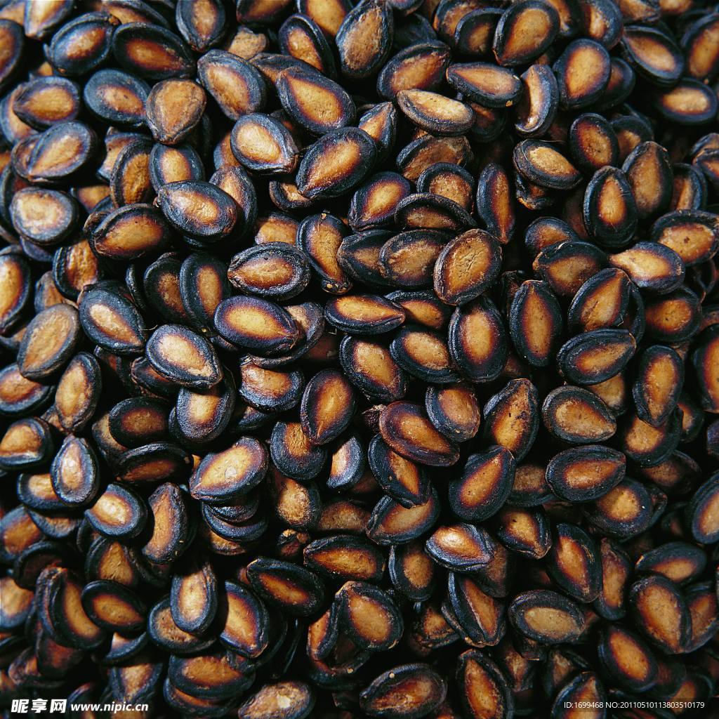 黑瓜子