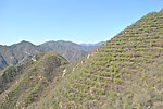 山峰