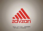 总队长（zdvzan）logo