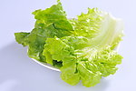 生菜