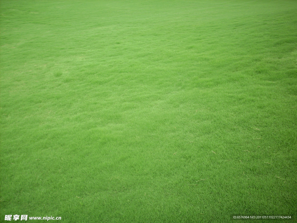 Free photo: Green Grass - Field, Grass, Grass field - Free Download ...