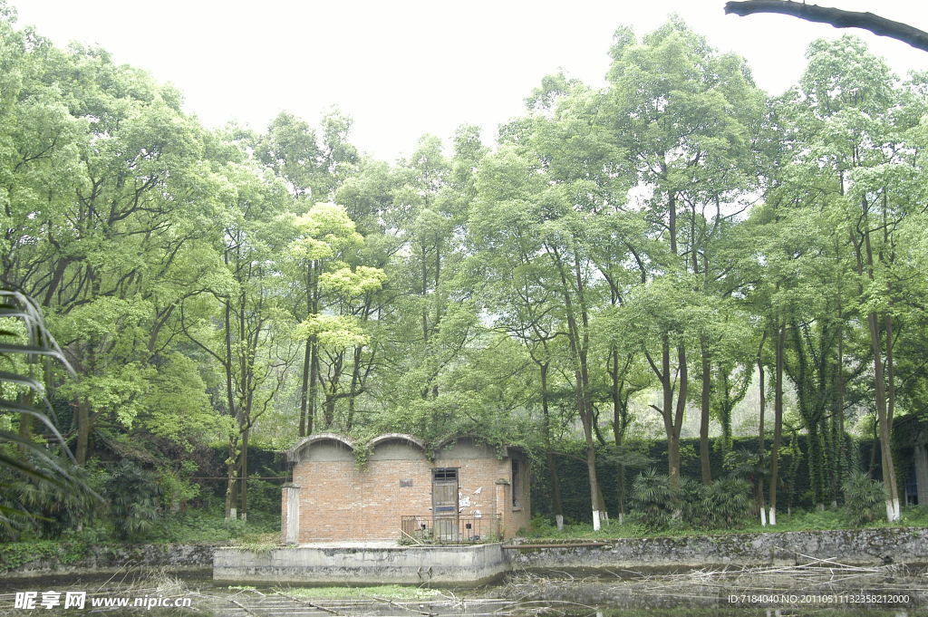 森林