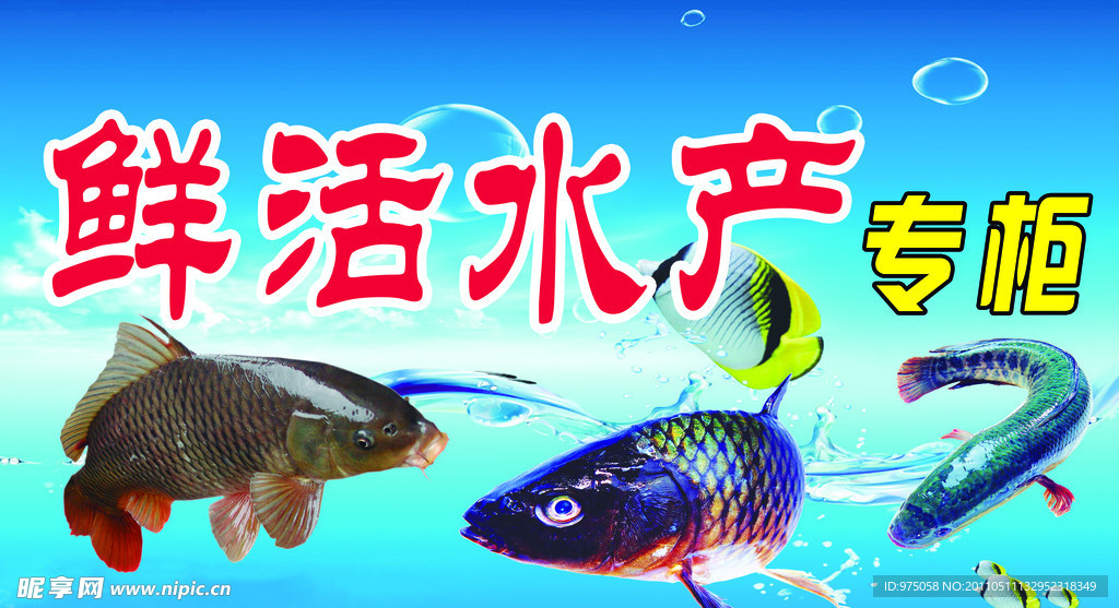 鲜活不产活鱼专柜 活鱼