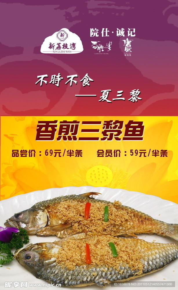 鲥鱼菜式宣传画
