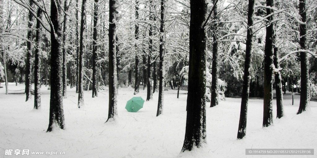 冬天雪景