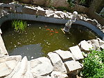 水池