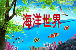 海洋 鱼