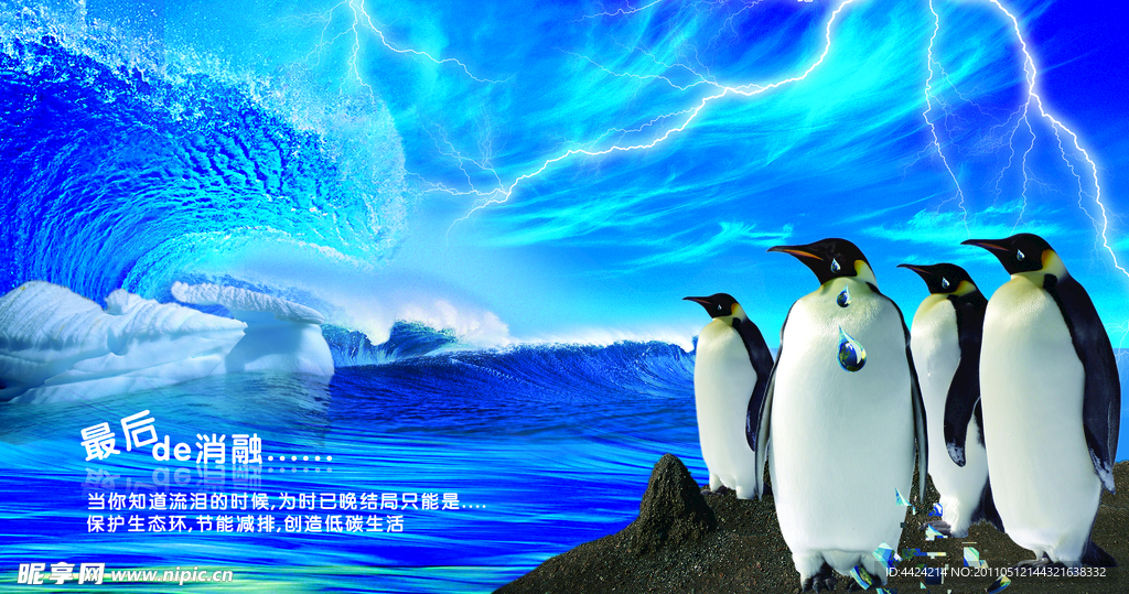 企鹅环保海报