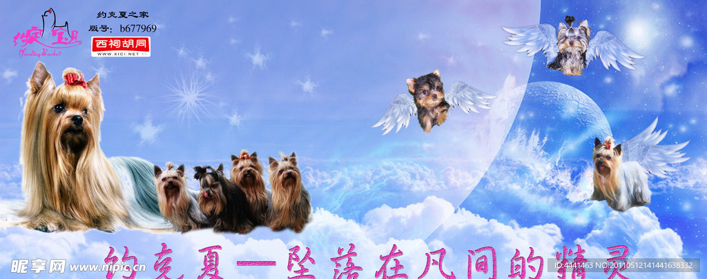 宠物海报