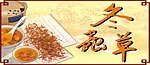 冬虫草