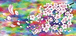 花瓣飘飘