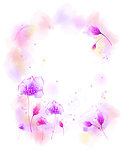 紫雨