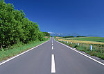 道路美景