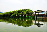 广州风景