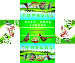 野生鸡蛋纸箱