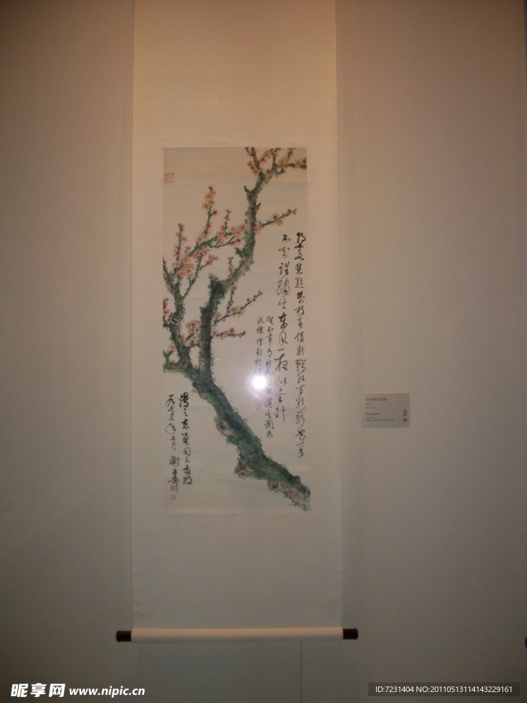梅花