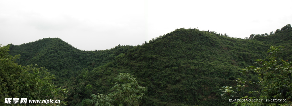青山