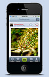 iphone4分层素材