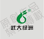武大绿洲