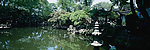 园林风景
