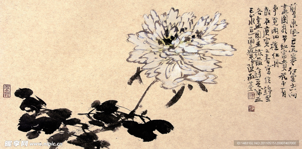 水墨菊