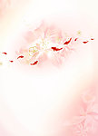 风帘花衣