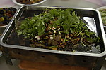 重庆美食