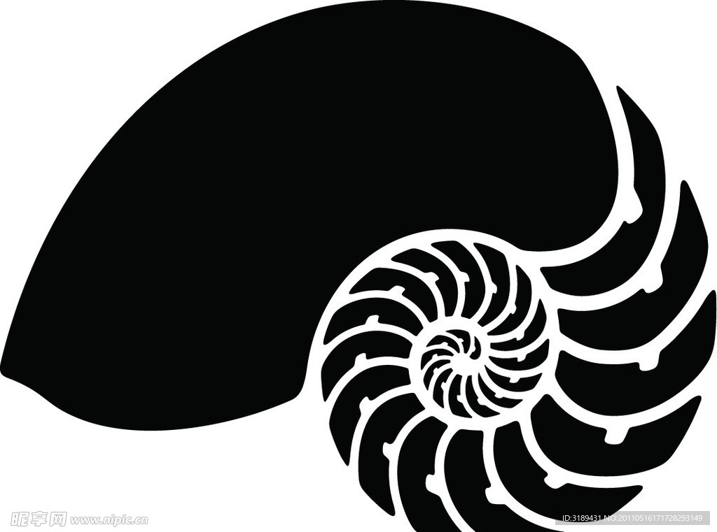 海螺