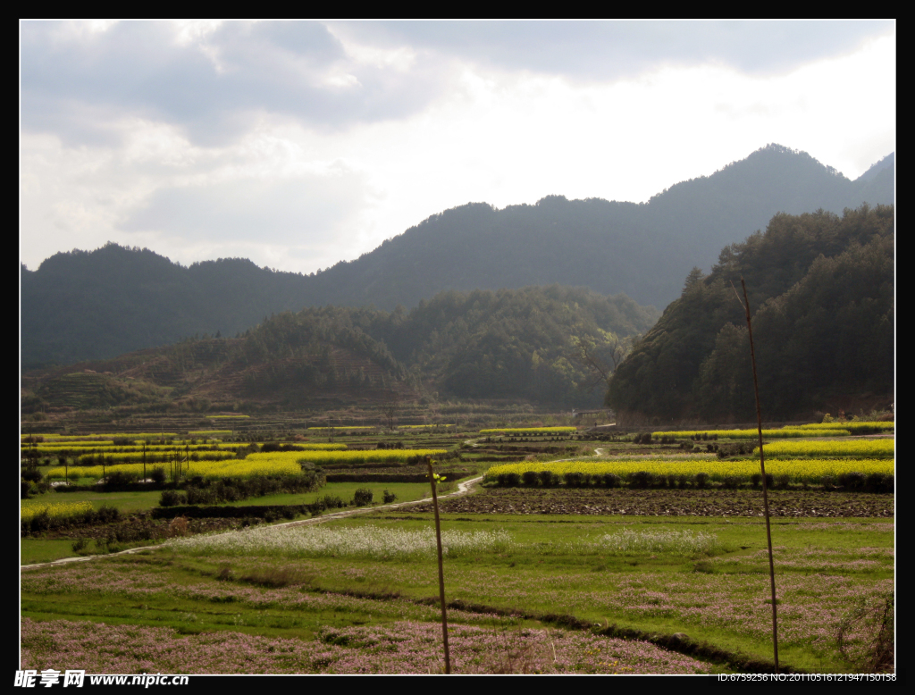 风景照