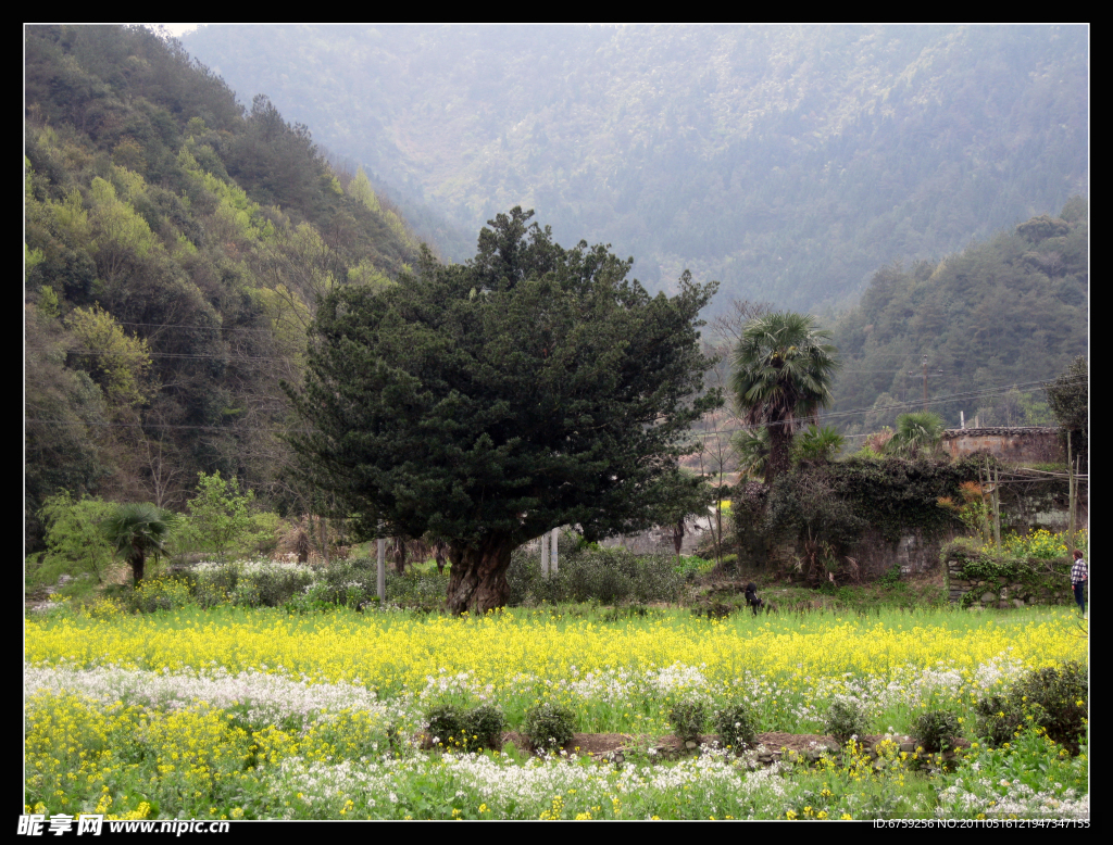 风景