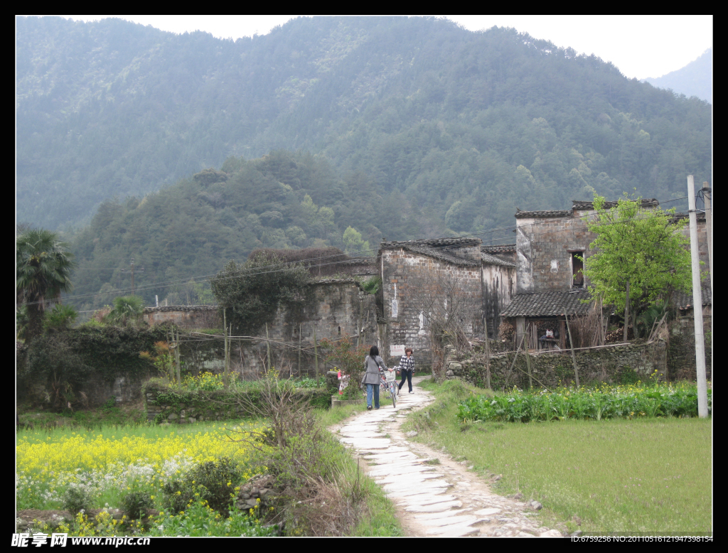 风景照