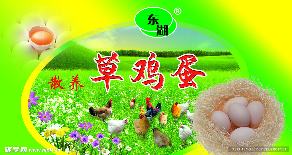 鸡蛋