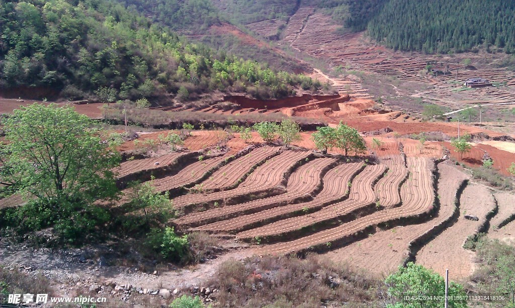 高隆梯田