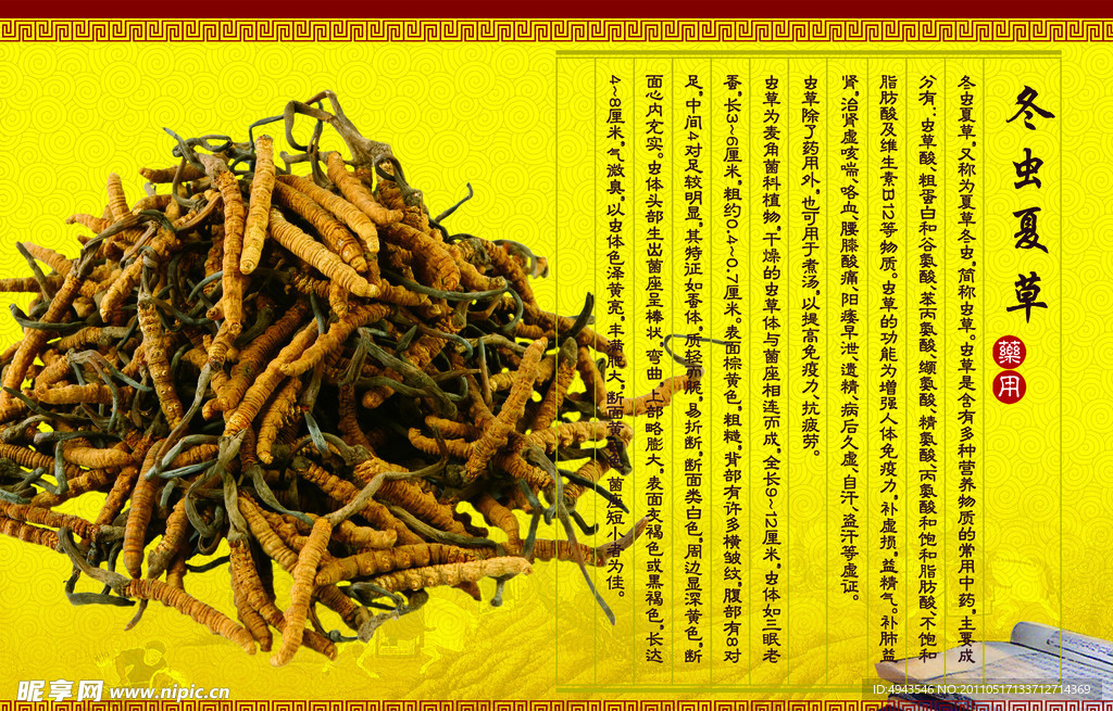 补品海报