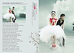 婚纱摄影模板