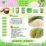 米业网页模板