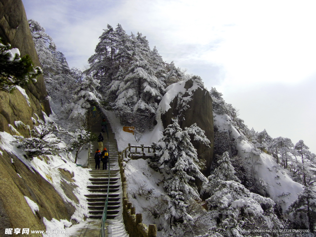 雪景