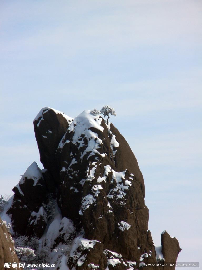 乌龟上山