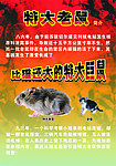 特大老鼠