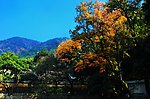 宁波天童寺