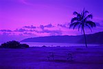 入夜的海边