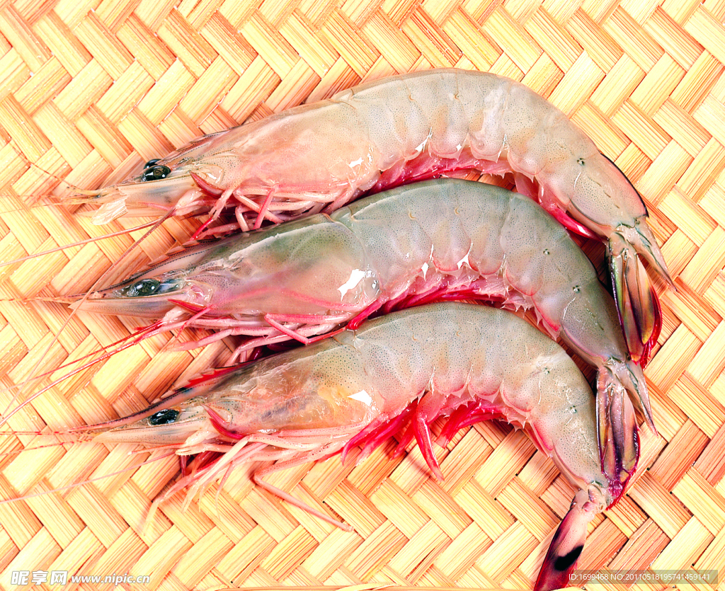 海虾