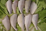 黄鱼块