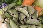 扁豆