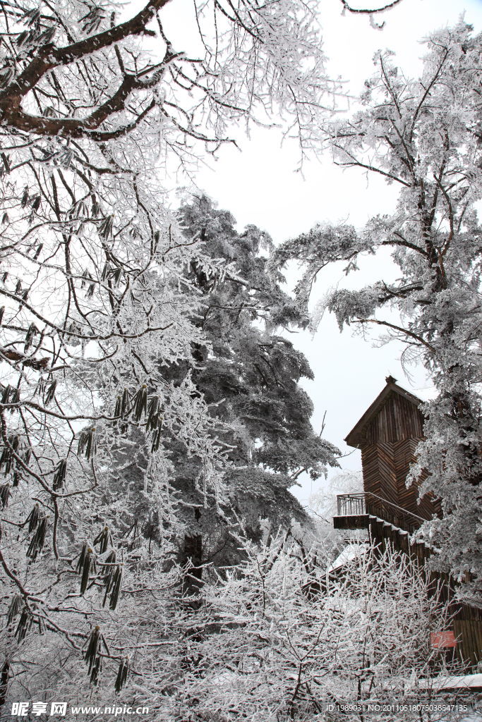 峨眉雪